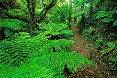 还要再等等 野村哲也称《王国之心4》仍处于早期开发阶段